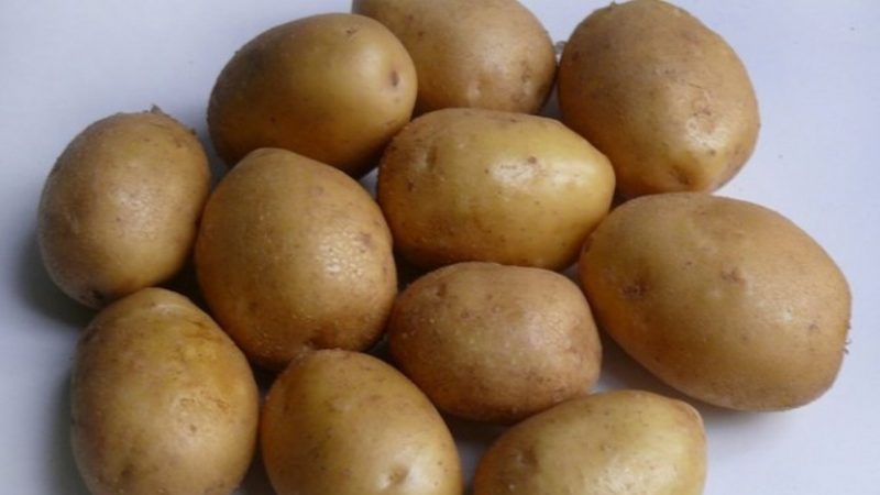 Ideal potato to buy for the winter: Jelly