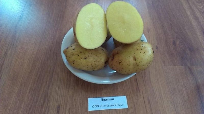 Ideal potato variety for winter purchase: Jelly