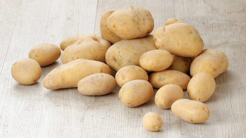 Young but promising German potato variety Crohn: description and reviews