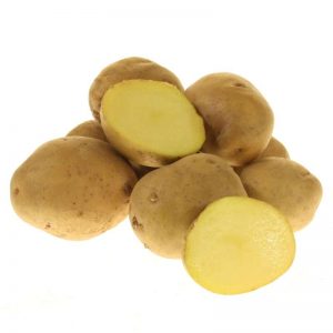 Mid-season, high-yielding Lugovskoy potato, ideal for mashed potatoes