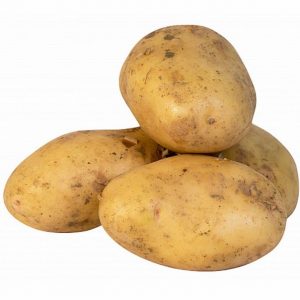 An incredible combination of unpretentiousness and yield of the Nevsky potato variety