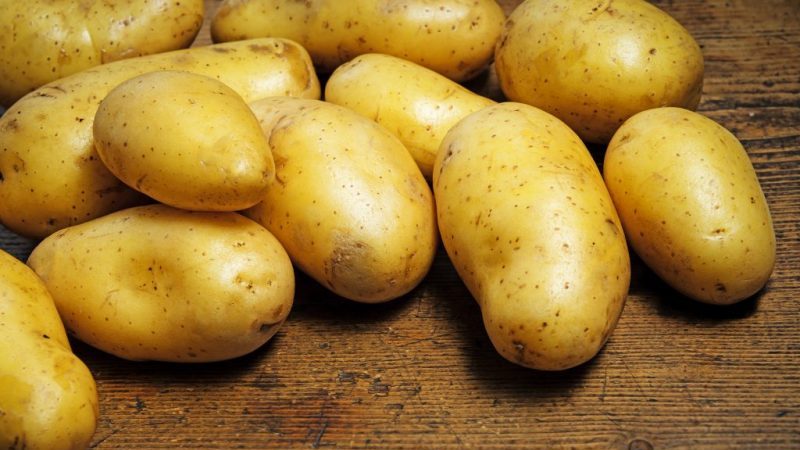 Domestic table potato variety Skazka