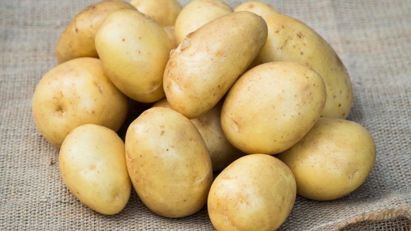 Early ripe table potato variety Uladar: description, photos and reviews of summer residents