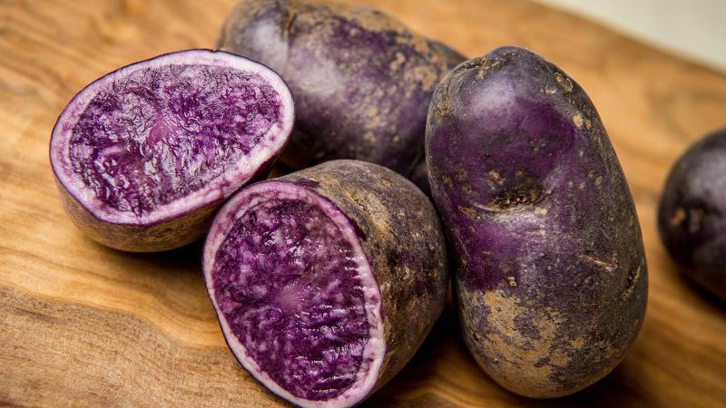 Amazing Vitalot potato with purple skin and pulp