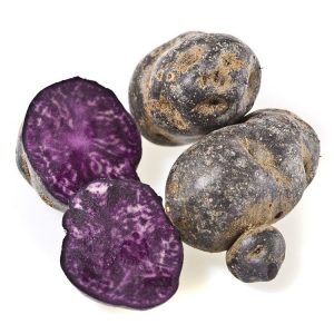 Amazing Vitalot potato variety with purple skin and pulp