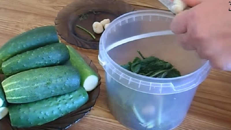 The best recipes on how to pickle cucumbers in a plastic bucket for the winter and recommendations for storing such blanks
