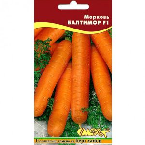 High-yielding first-generation carrot hybrid: Baltimore f1
