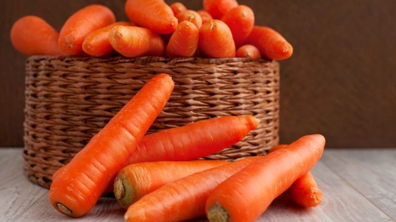 High-yielding first-generation carrot hybrid: Baltimore f1
