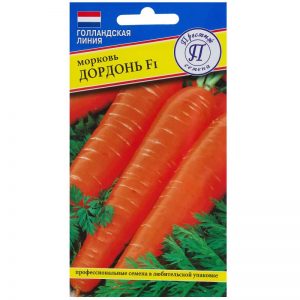 Early maturing, cold-tolerant hybrid of Dordogne carrots