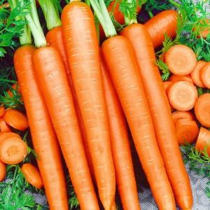 Late ripe and high-yielding carrots Emperor: variety description