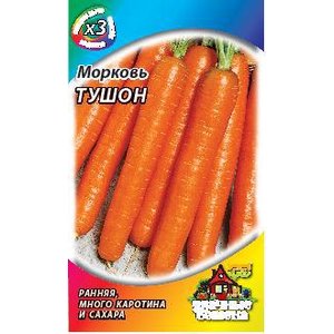 Amsterdam early ripe carrot variety Touchon