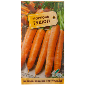 Amsterdam early ripe carrot variety Touchon