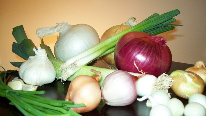 Is it possible to eat onions with gastritis with high or low acidity