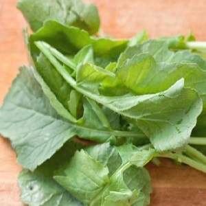 Is it possible to eat the stem and leaves of a radish