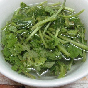 Is it possible to eat the stem and leaves of a radish