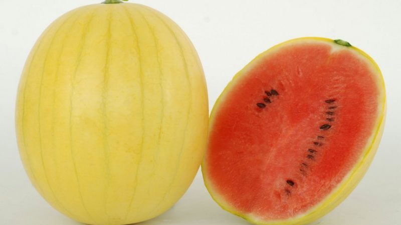 The names of early varieties of watermelons for open ground and reviews about them