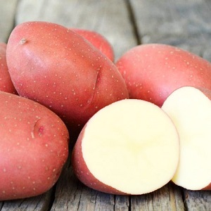 Unpretentious early ripe potato variety Lyubava for long-term storage