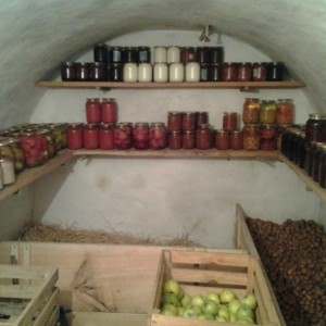 Features of storing potatoes in a garage without a cellar
