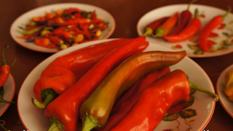 Distinguishing pungent fruits is easy and simple - cayenne pepper and chili: what is the difference and how they are used