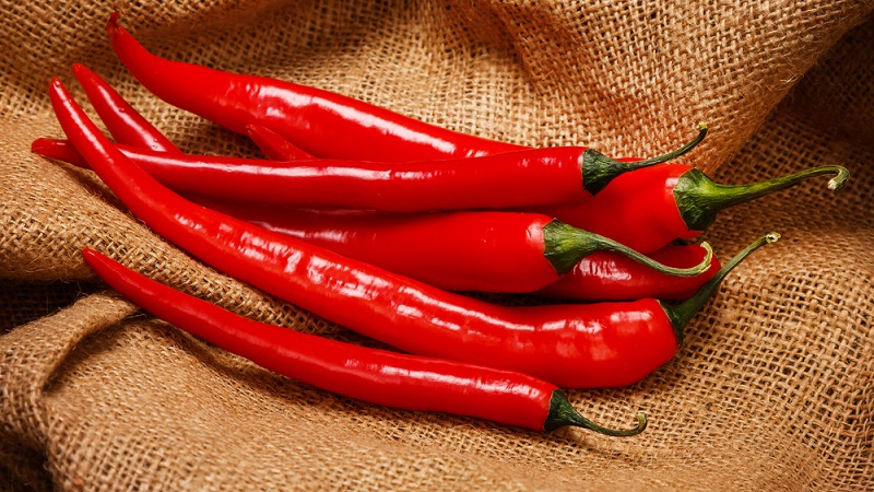 Distinguishing pungent fruits is easy and simple - cayenne pepper and chili: what is the difference and how they are used
