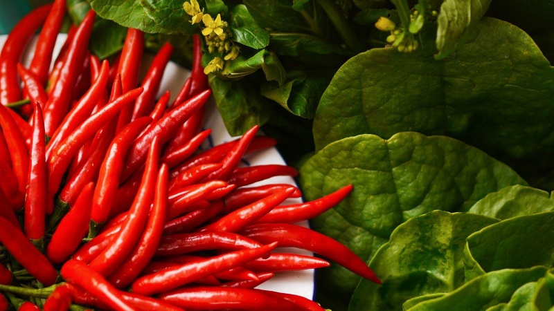 Distinguishing pungent fruits is easy and simple - cayenne pepper and chili: what is the difference and how they are used