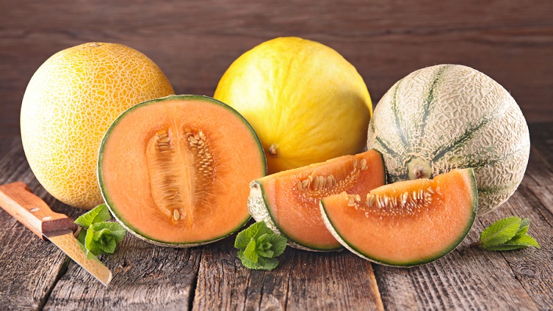 Why you shouldn't eat melon with milk and other foods