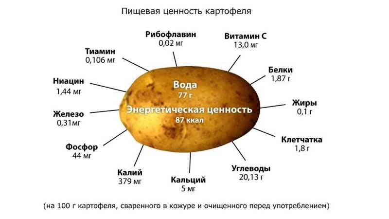 The benefits and harms of potatoes for the human body