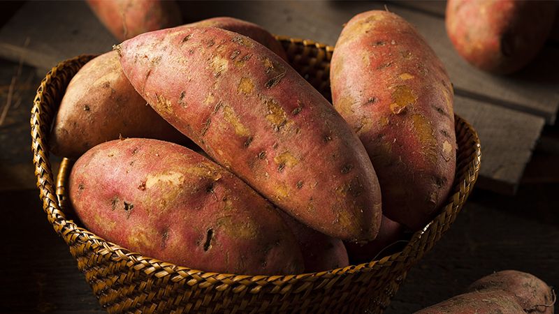 The benefits and harms of potatoes for the human body