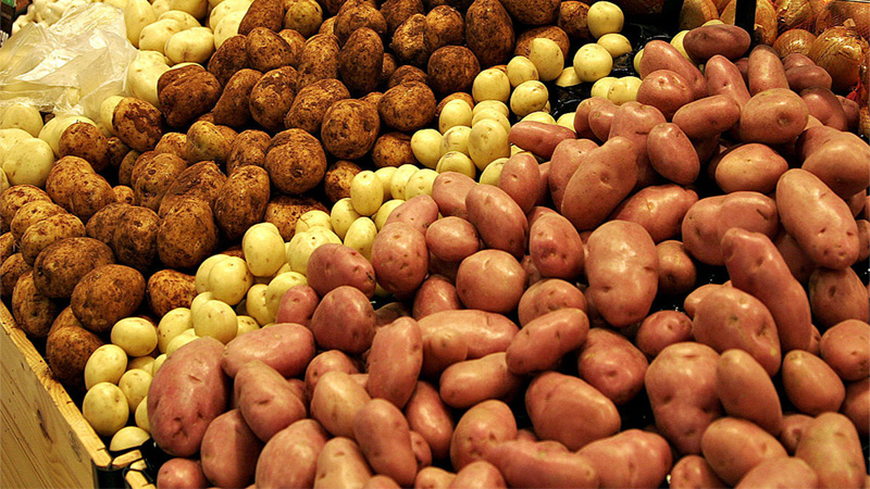The benefits and harms of potatoes for the human body