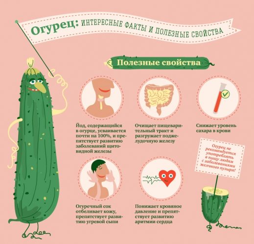 The benefits and harms of cucumbers for a woman's health and methods of their use
