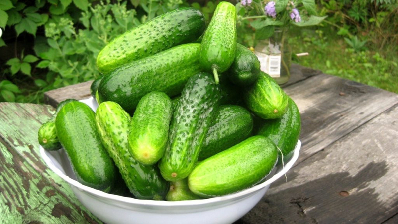 The benefits and harms of cucumbers for a woman's health and methods of their use