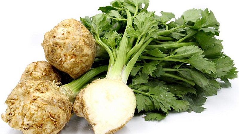 The health benefits of celery for women