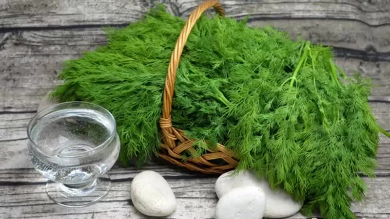 The health benefits of dill and what is eaten in it