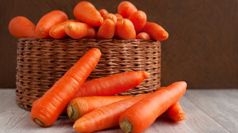 An early ripe hybrid of carrots with a sweet taste Nandrin f1
