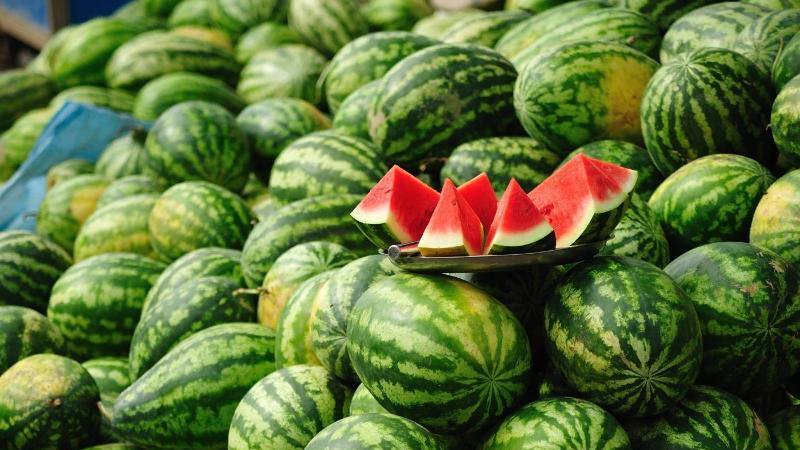 The names of early varieties of watermelons for open ground and reviews about them
