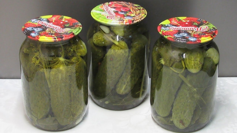 A selection of the best recipes for pickled cucumbers for the winter at home
