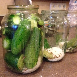The most delicious recipes for preserving cucumbers for the winter