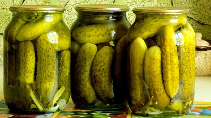 The most delicious recipes for preserving cucumbers for the winter