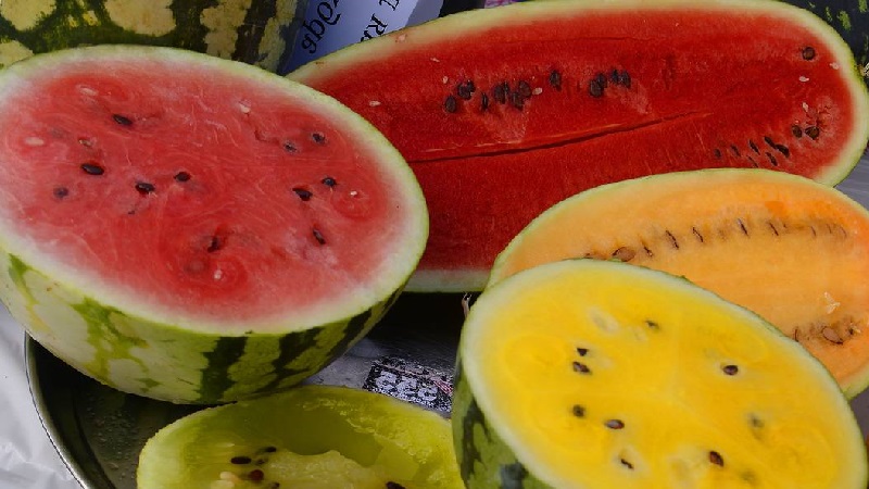 The most delicious varieties of watermelons: description and characteristics