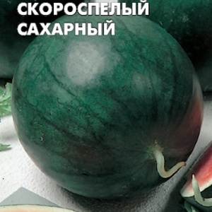 The most delicious varieties of watermelons: description and characteristics