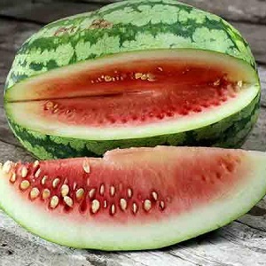 The most delicious varieties of watermelons: description and characteristics