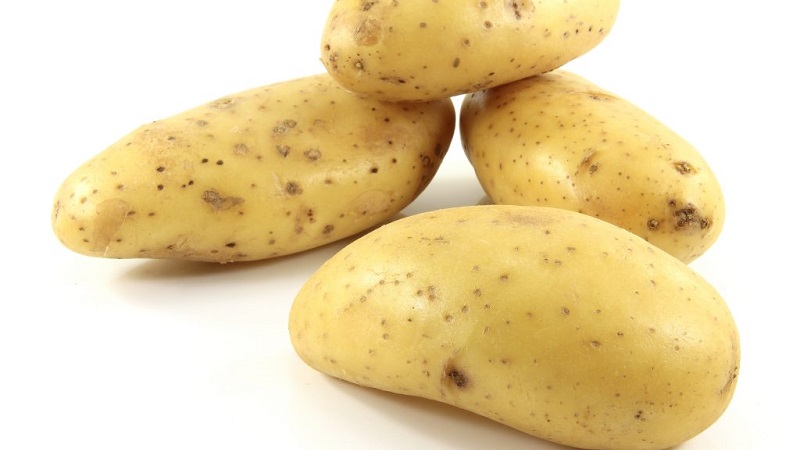 Early ripening variety Empress for sowing seeds