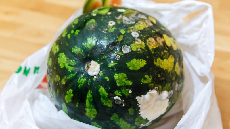 We save the watermelon until the New Year at home