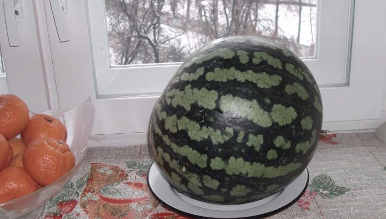 We save the watermelon until the New Year at home