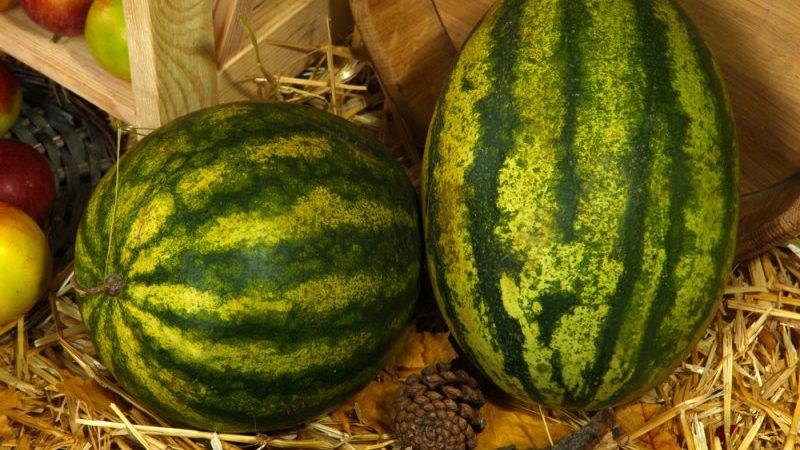 We save the watermelon until the New Year at home