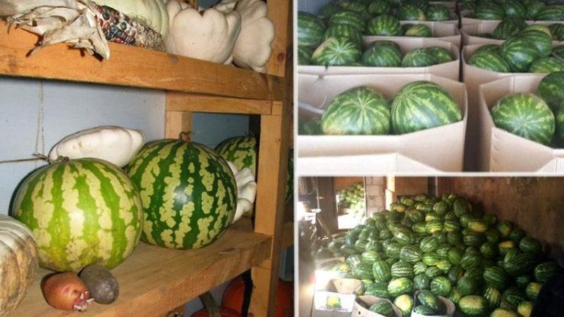 We save the watermelon until the New Year at home