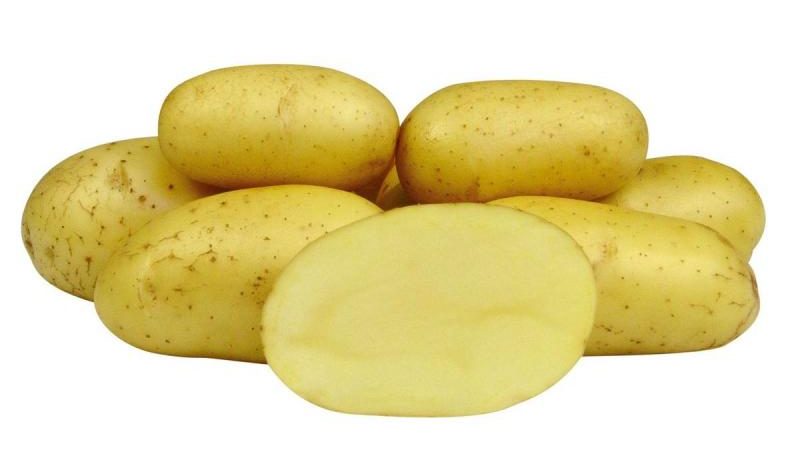 An early ripe table potato variety, Colette, which bears fruit twice a season