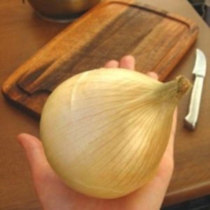 A large mid-season onion variety Globo: reviews of summer residents and features of agricultural technology