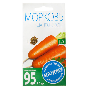 Sweet variety of carrots Shantane Royal bright orange color