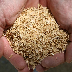 Composition and features of the use of rice husk